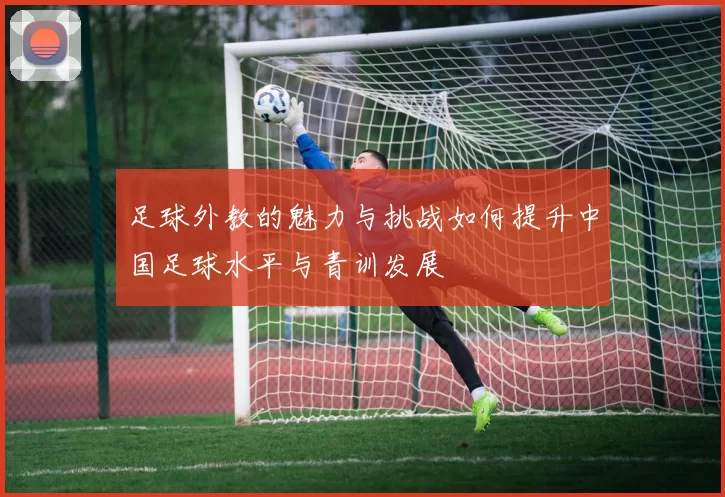 足球外教的魅力与挑战如何提升中国足球水平与青训发展