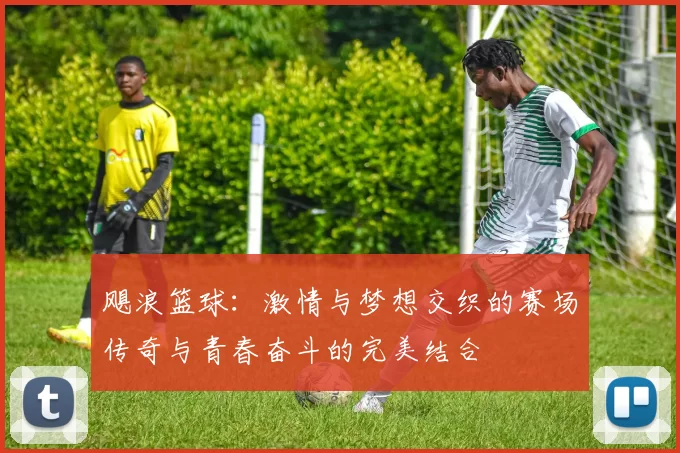 飓浪篮球：激情与梦想交织的赛场传奇与青春奋斗的完美结合