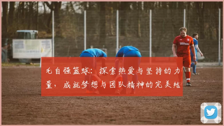 毛自强篮球：探索热爱与坚持的力量，成就梦想与团队精神的完美结合