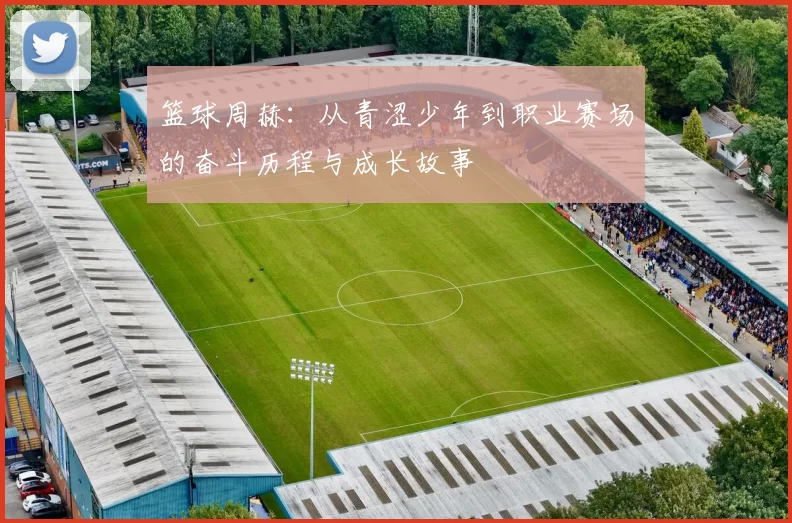 篮球周赫：从青涩少年到职业赛场的奋斗历程与成长故事